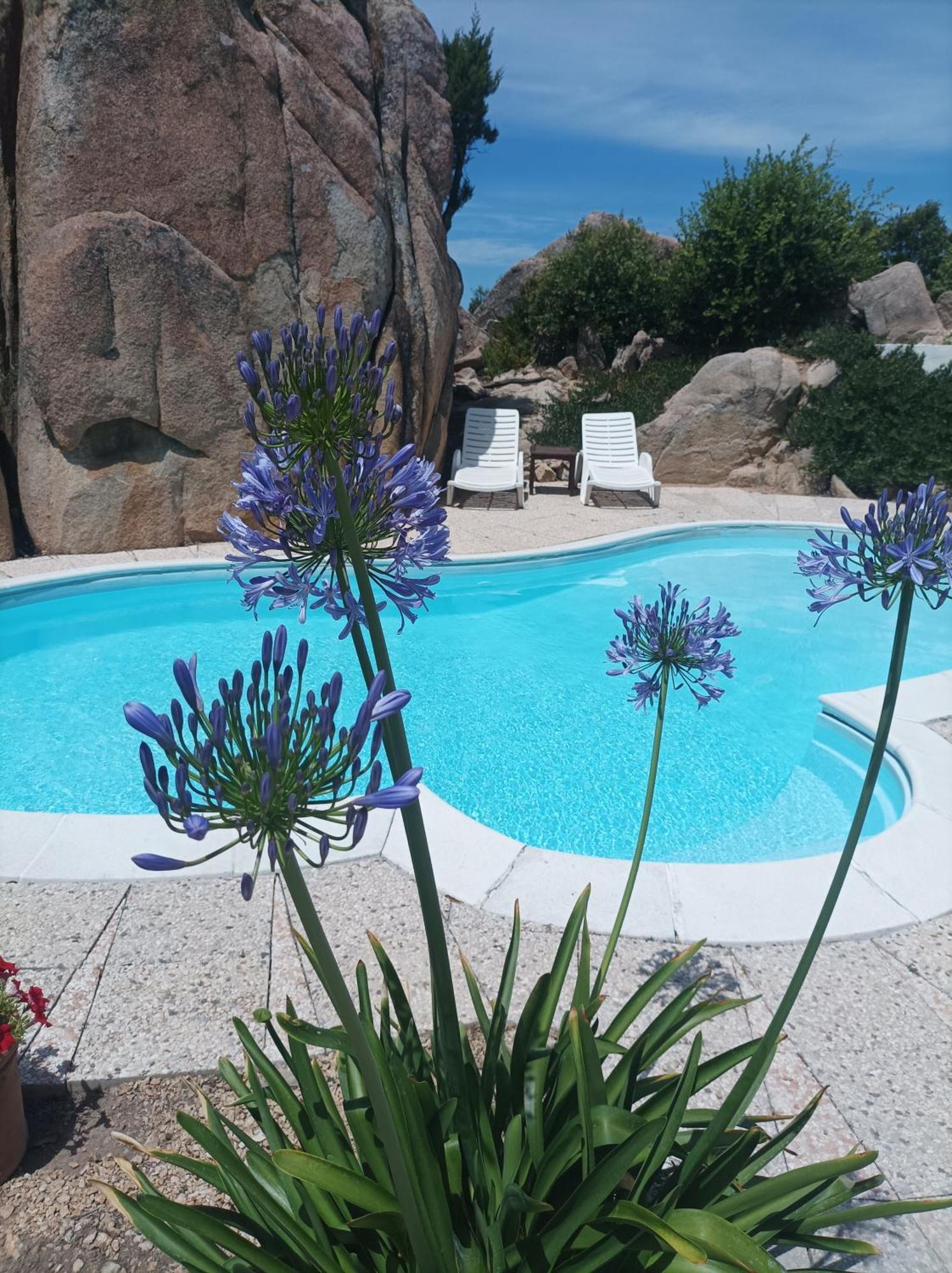 Villa Majore Beb Con Piscina Privata Rena Majore Ngoại thất bức ảnh